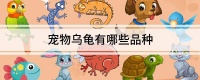 宠物乌龟有哪些品种
