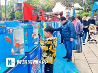 五福金鱼首度集结！600尾福州本土珍稀金鱼“游”进西湖公园晨曦广场