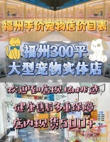 福州哪个猫狗舍比较有名口碑比较好?这买宠物放心能去实体店挑选