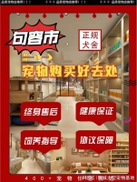 句容哪个猫狗舍比较有名口碑比较好?这买宠物放心能去实体店挑选