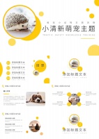 白黄清新风宠物店萌宠小动物主题营销策划PPT模板