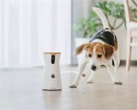 宠物狗摄影机怎么用的啊