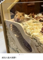 很多00后的第一套房，是别墅