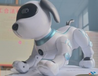 爬行宠，一类独特的宠物！