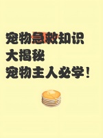 萌爪叔叔：宠物受伤黄金5分钟急救法！养宠必学知识！
宠物受伤时的急救方法至关重要，以下列举六种宠物受伤时的处理方法。

 1. 宠物抓伤/咬伤处理 
  宠物被抓伤或咬伤后，应立即用肥皂水冲洗15分钟，然后从近心端往远心端轻挤出血液，根据宠物状况判断是否需要注射狂犬疫苗。

 2. 宠物受伤处理 
  宠物受伤后，主人应用生理盐水冲洗伤口，用无菌纱布按压止血。

 3. 蜱虫叮咬处理 
  宠物被...