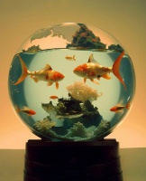 养鱼有什么好处