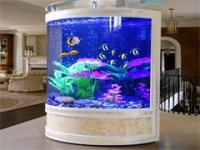 「图」鱼缸维护，清理，改造，零售鱼，各式鱼缸