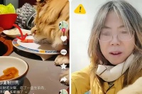 楼顶观落日的友人：#上头条 聊热点##我要上头条#  猴姐火了，饭店停业了！

万万没想到， 12月16号晚北京这家涮肉店，被个带狗吃饭的姐们儿坑惨了
 
12月16日晚，北京丰台王爷府南门涮肉店，正是吃饭高峰，穿红外套的女子抱宠物狗“旺财”进店，没牵绳没装笼，直接放餐桌上。夹起生羊肉卷喂狗，狗舔得盘子发亮，店员过来拦，她还说“我家狗干净”
 
店家事后查监控，才发现她进店时没告知带狗，服务员忙着...