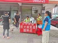 社区里的这场活动，为何宠物主人纷纷点赞？