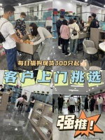 上海买狗买猫的地方在哪里,这里实体老店敢质保每只宠物都包健康。