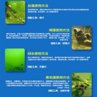 告别水族箱异味！鱼麒麟活性菌净水剂，清澈水质从此无忧