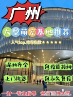 广州宠物市场地址电话?这里安全可靠还能实地选宠物不虚此行