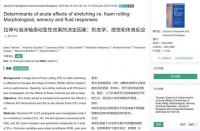 AR Fitness Dog: Effects of a User