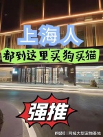 上海买宠物猫狗最好去哪里买？实地探访这确保安全选购您的爱宠