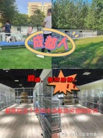 成都哪个猫狗舍比较有名口碑比较好?这买宠物放心能去实体店挑选