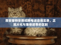 西安宠物安葬招聘电话咨询实录，正规火化与集体埋葬的区别