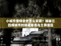 小城市宠物去世怎么安葬？揭秘三四线城市的隐藏服务与土葬雷区