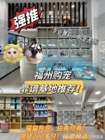 福州购买宠物猫狗的正规平台？这里安全可靠能挑选心仪的宠物哦
