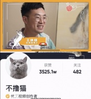 毛孩子能当宠物博主吗