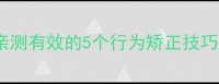 成年猫咪训练全攻略亲测有效的5个行为矫正技巧新手也能轻松上手