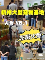 杭州宠物猫狗在哪里买靠谱?这里安全可靠能挑选心仪的宠物