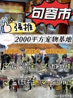 句容买猫咪应该去哪里?这里买宠物放心还能去实体店挑选宠物