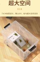 简单易上手的宠物