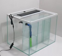 小型鱼缸过滤器清洗攻略，养鱼达人必备！