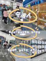 宁波买猫咪应该去哪里?这里买宠物放心还能去实体店挑选宠物