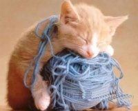 简易猫咪玩具制作，快乐陪伴宠物成长