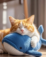 猫咪的呼噜声能辅助治疗人类疾病？专家：已证实，是真的！