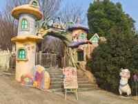 学的电焊专业一天没干，开了十几年宠物店，90后小伙刚接手一家废弃宠物乐园，向网友征集经营改造意见