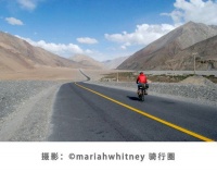 宠物猫安全指南：防伤避害，妥善应对