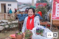 过年不知如何买年宵花？武汉首届迎春花市最强攻略出炉