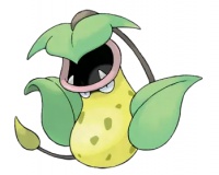 《魔兽小宠物》精灵介绍之大食花