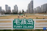 江苏：“宠物友好”融入城市生活圈 激活产业新生态