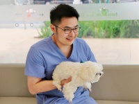 一针疫苗上百元，到底贵在哪？揭开宠物医院“隐藏账单”