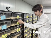 福州这位“95后​”青创导师，把儿时梦想炼成硬核科技项目