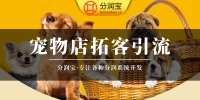 宠物实体店救星 分润宝助你客流营收双涨