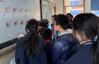 有猫有狗还有鼠，杭州班主任给全班发宠物，网友：真是省钱又治愈