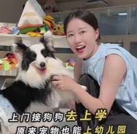 倒反天罡！女子花1.2万送狗上幼儿园，每天校车接送比人过得滋润