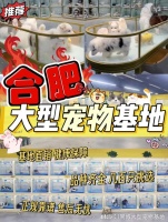合肥哪里有正规宠物基地，合肥这家实体老店买的放心，有安全保障