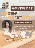 图说｜从饮食配方到质量把控，如何守护高龄毛孩的“舌尖营养”？