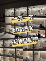 哈尔滨宠物猫狗市场地址，这里宠物健康可溯源拒绝星期宠