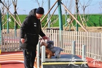 延庆区建成全市首个免费开放的宠物友好公园