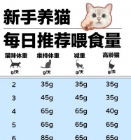 猫控粮如何控制食量？控食猫粮的正确方法是什么？