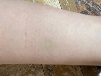 长沙一小区有人散养猪并追人拱人？物业回应：业主养的宠物猪