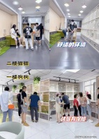 贵阳买拉布拉多犬宠物基地（贵阳观山湖区）哪里可以买到品相好的拉布拉多犬