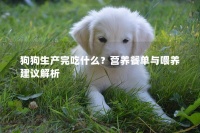 狗狗生产完吃什么？营养餐单与喂养建议解析