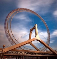 【镜头】“摇尾派对”宠物市集引爆津城 毛孩子狂欢盛宴登场